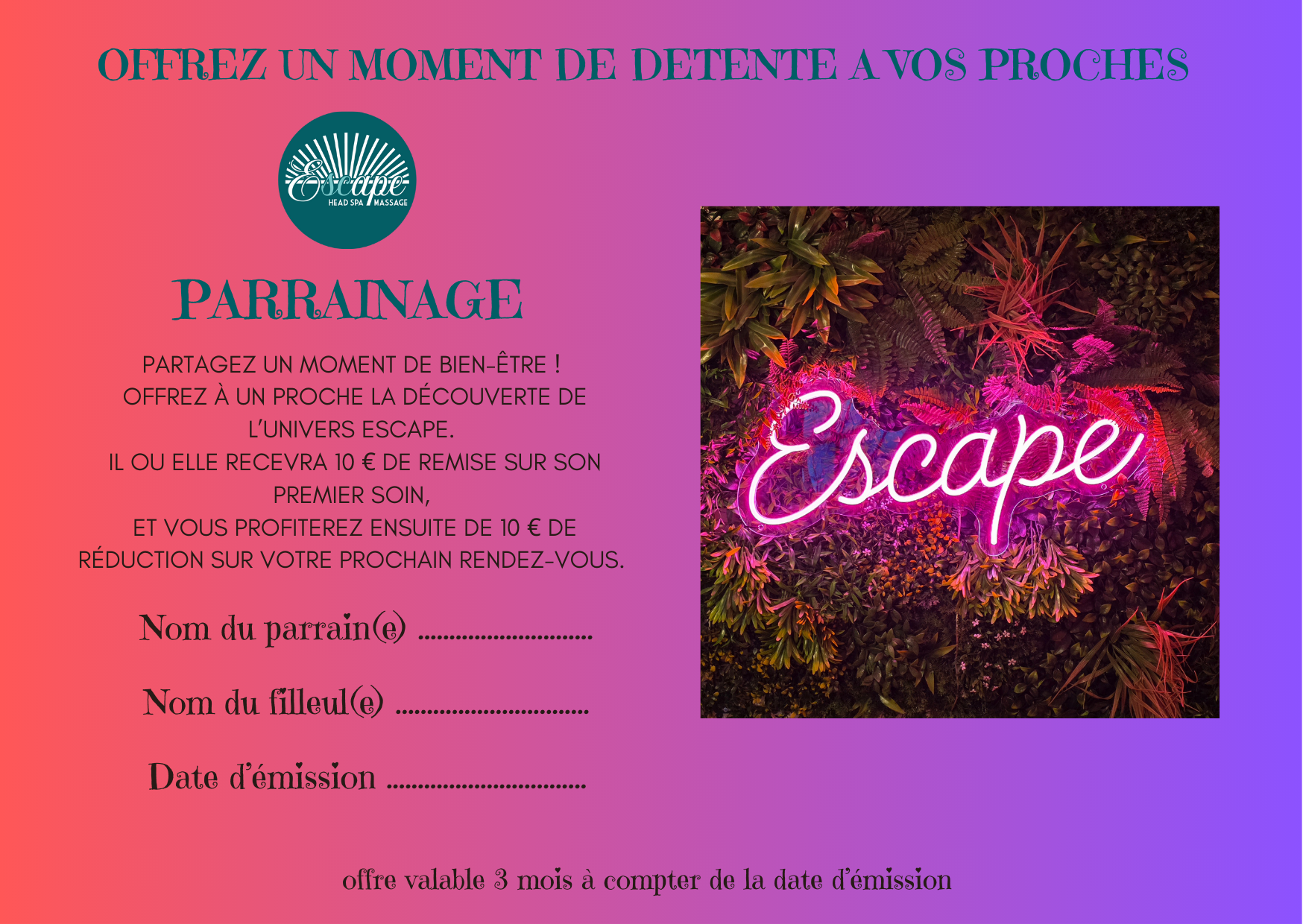 image of holistic health consultations (for an acupuncturist)